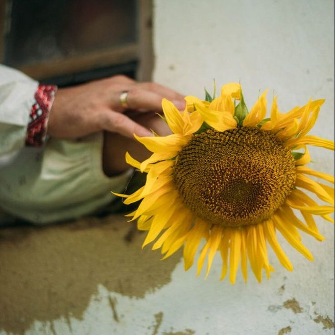 Nurturing Wellness: A Journey of Ukrainian Women in the UK