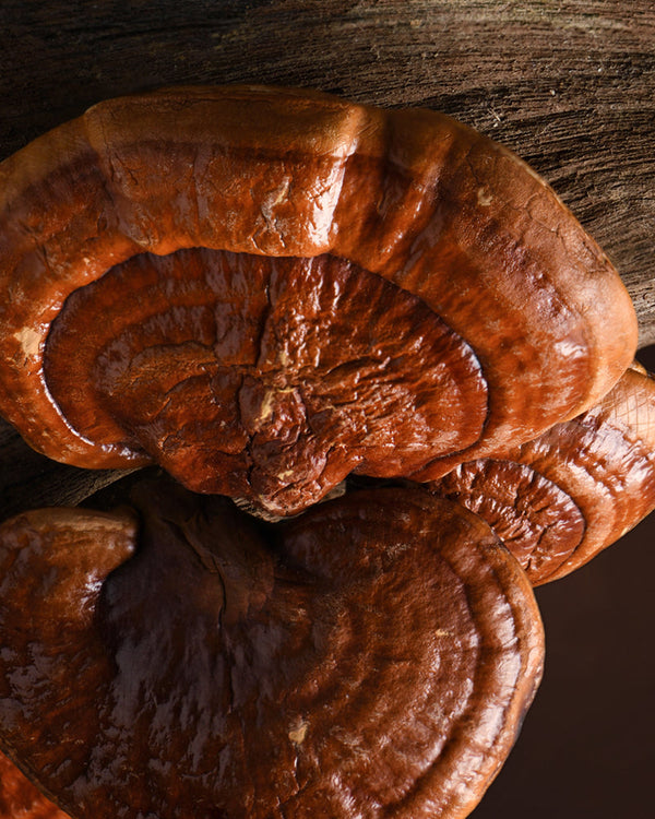 Adaptogens & Functional Mushrooms: What’s The Difference & Do I Need Both?