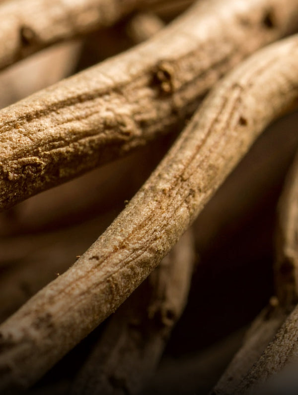 Your guide to Ashwagandha: What is it and how does it work?