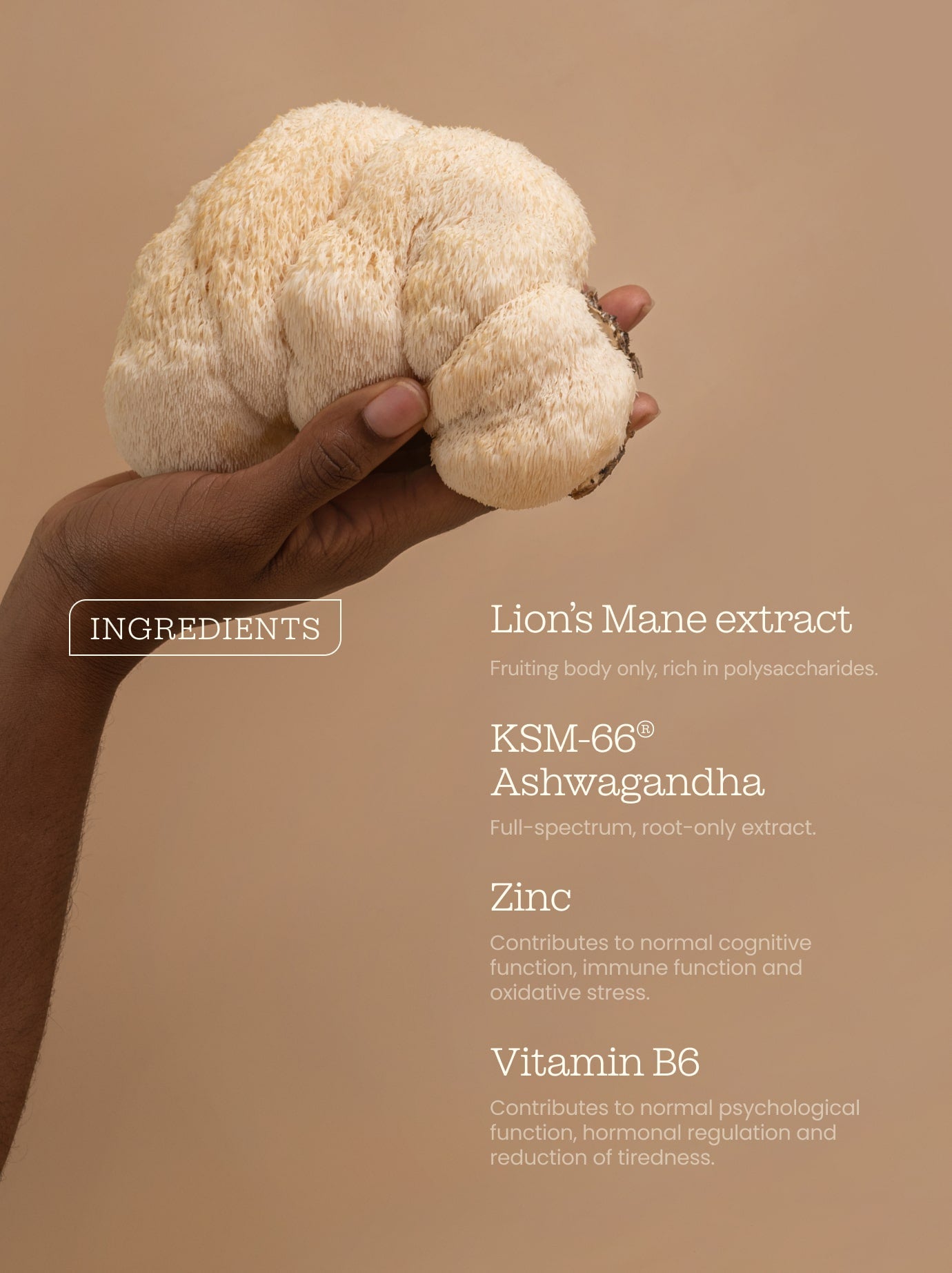 Ashwagandha KSM-66® + Lion's Mane