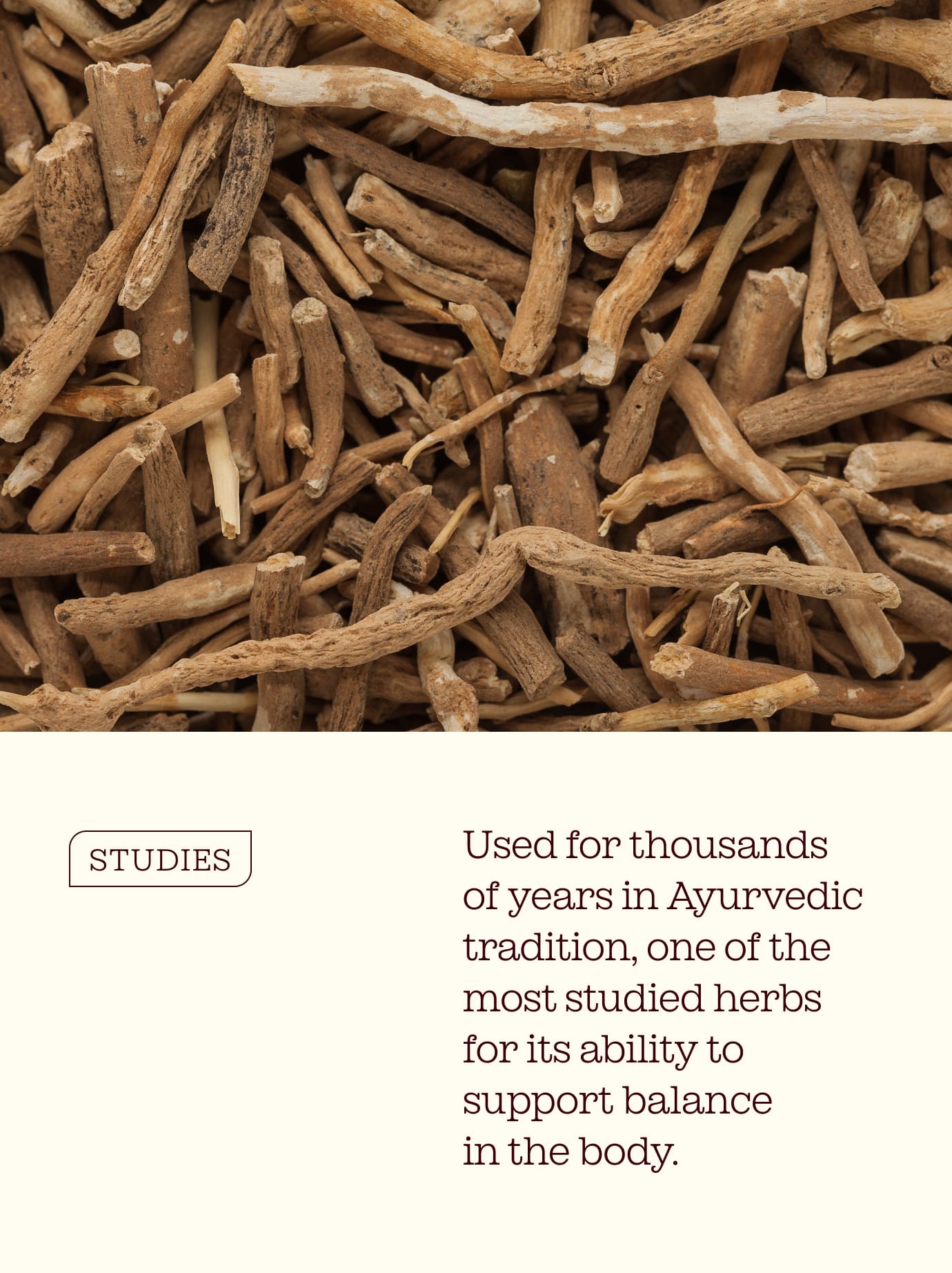 Ashwagandha Gummies