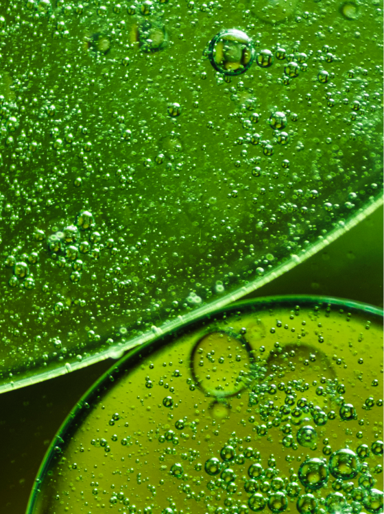 Promotional Image