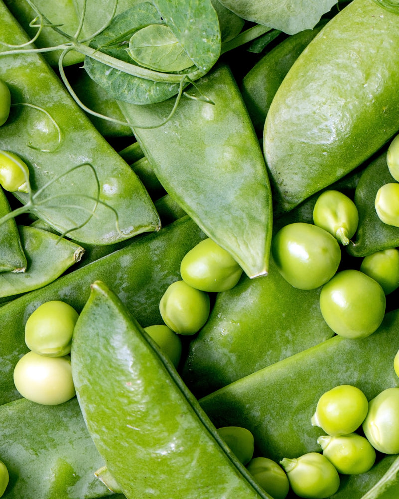 5 Benefits of pea protein powder.