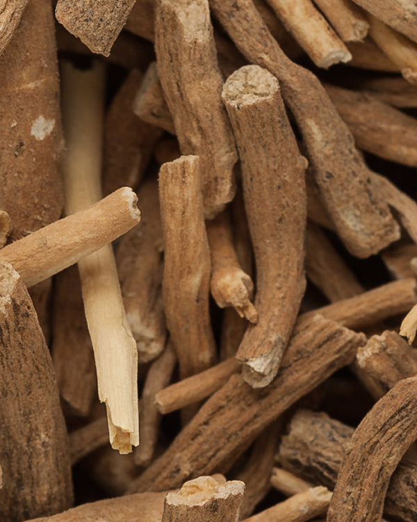 From foggy to focused: How Lion’s Mane and Ashwagandha support mental clarity