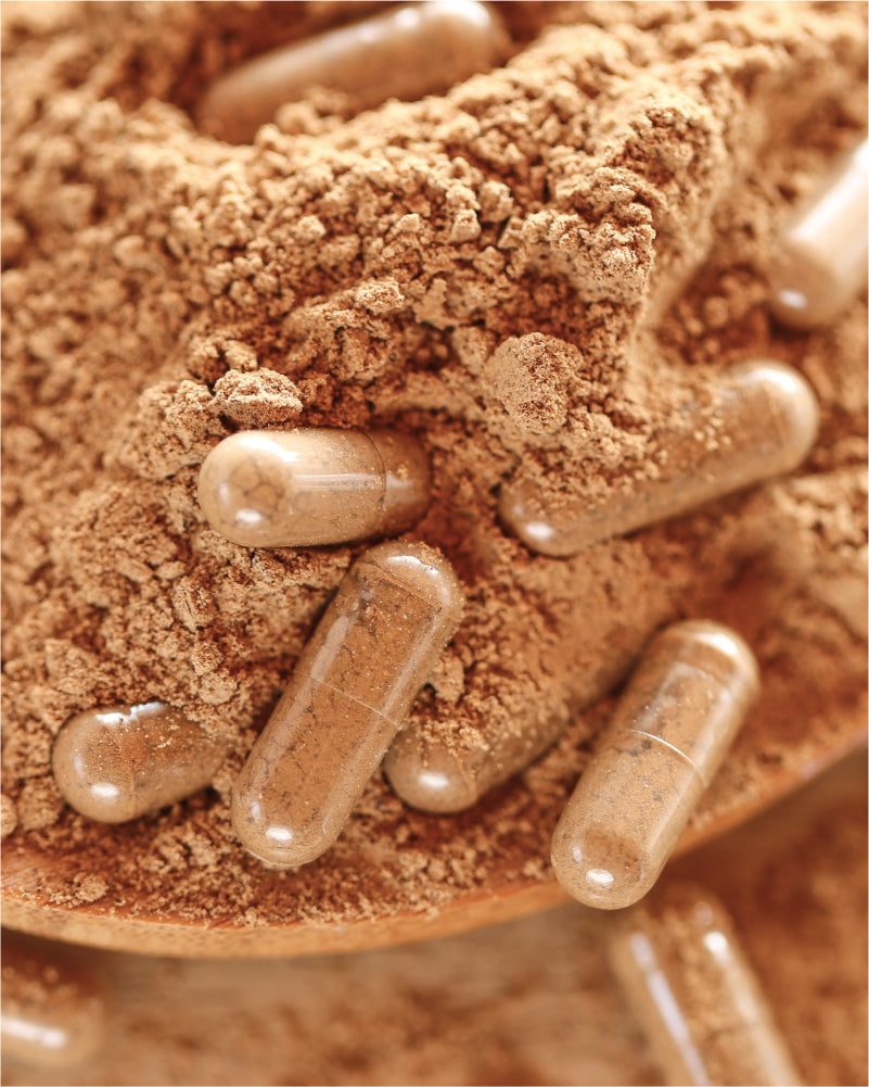 What is Guarana and What Are the Benefits?