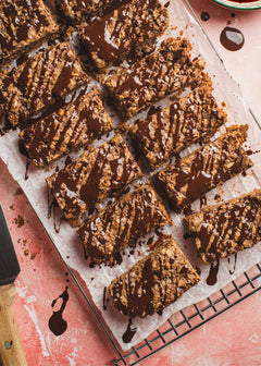 Chocolate Protein Granola Bars