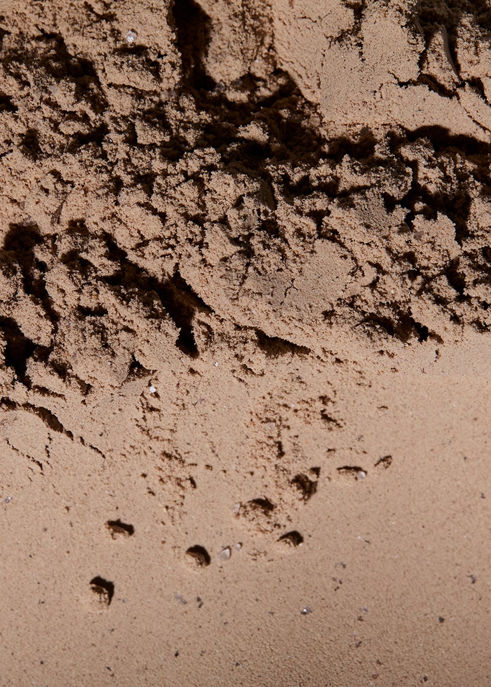 How does Protein support hormone balance?