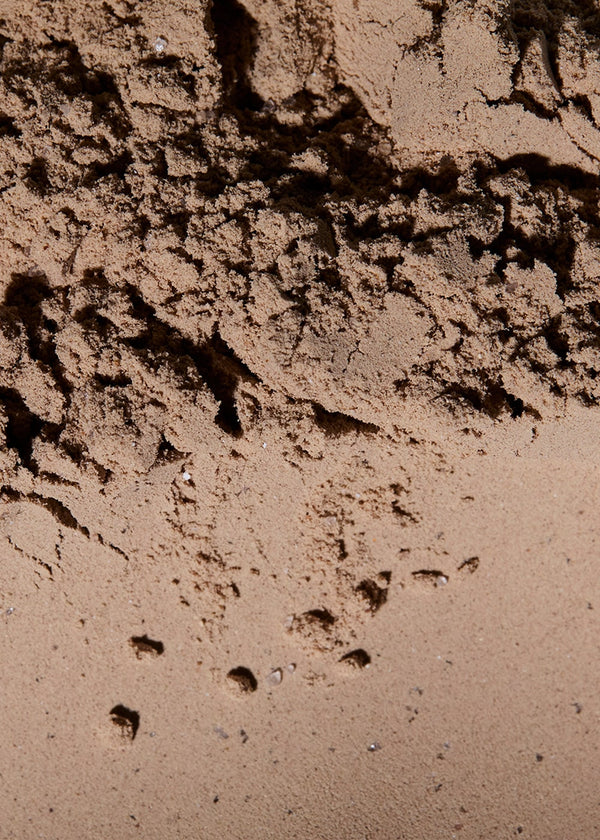 How does Protein support hormone balance?