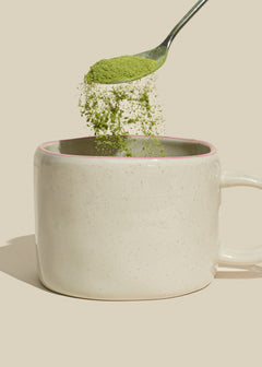 Matcha vs Coffee: Which is Better for You?