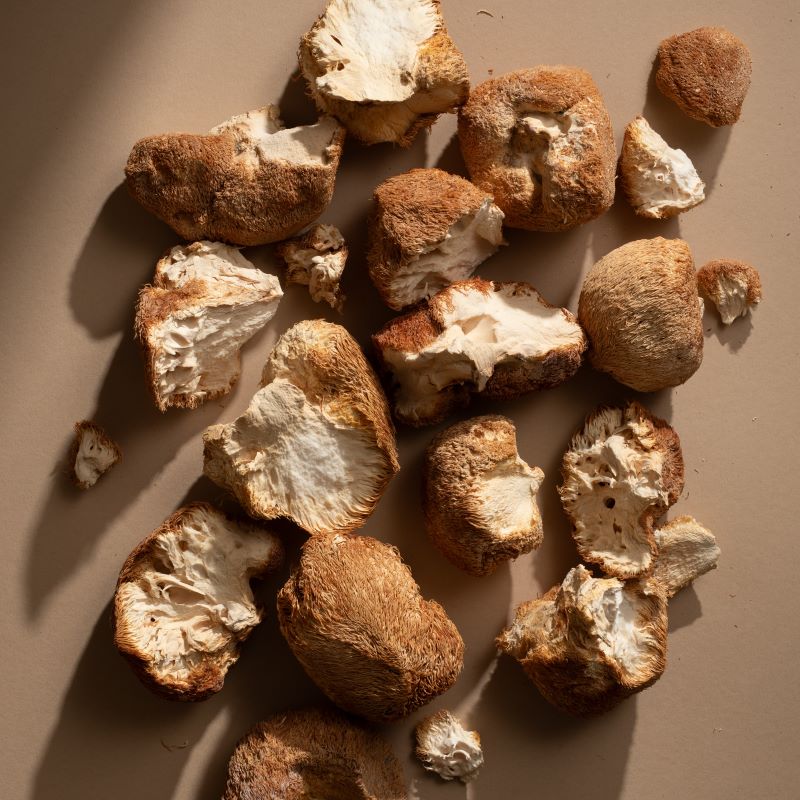 Gut Health & Immunity: How Shiitake & Maitake mushrooms support wellness.