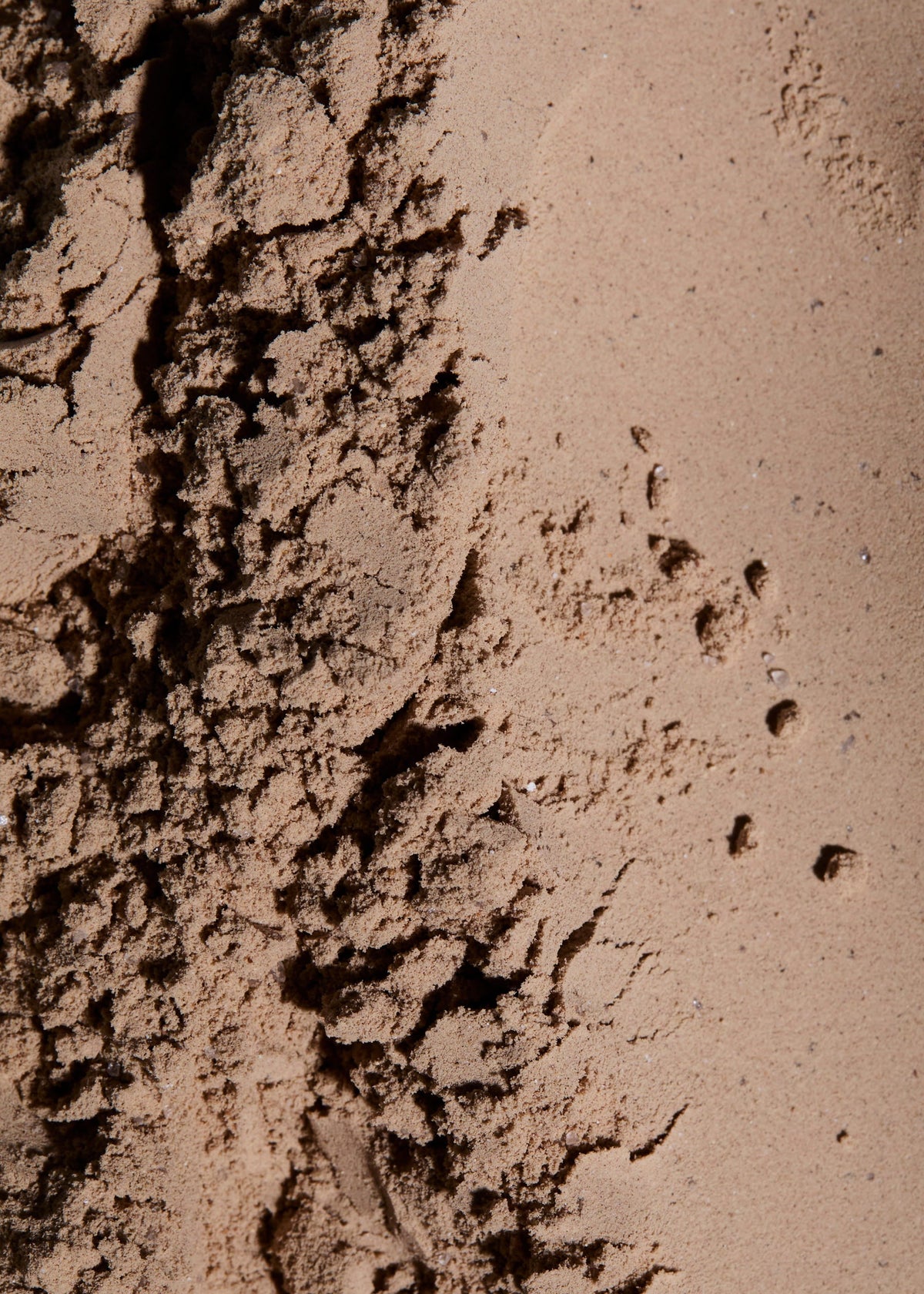 Hybrid Protein Powder: What It Is and Why It's Perfect for Women Who Train