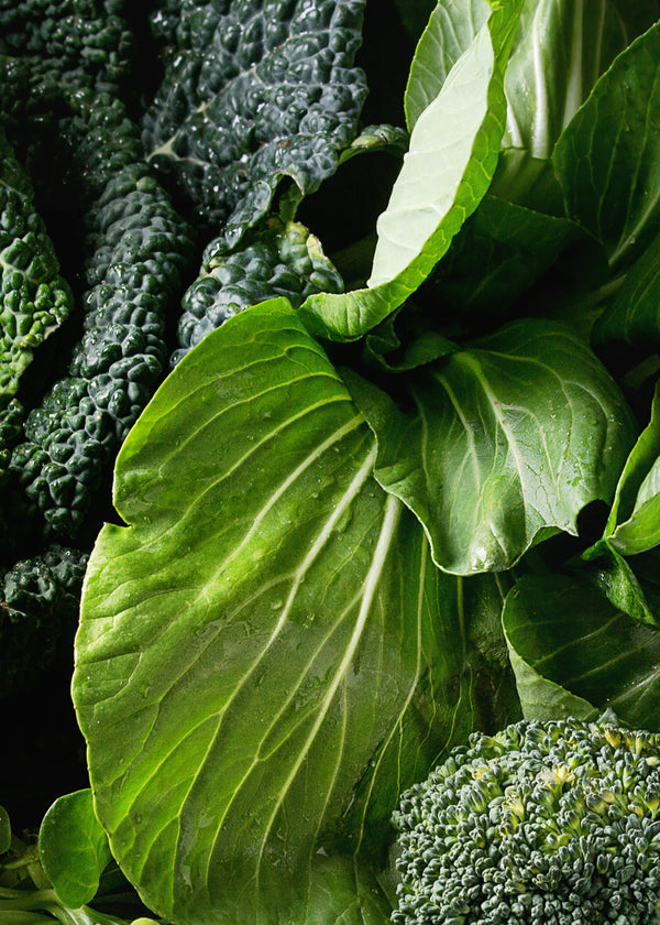 What the Rise of GLP-1s Means for Women’s Nutrition