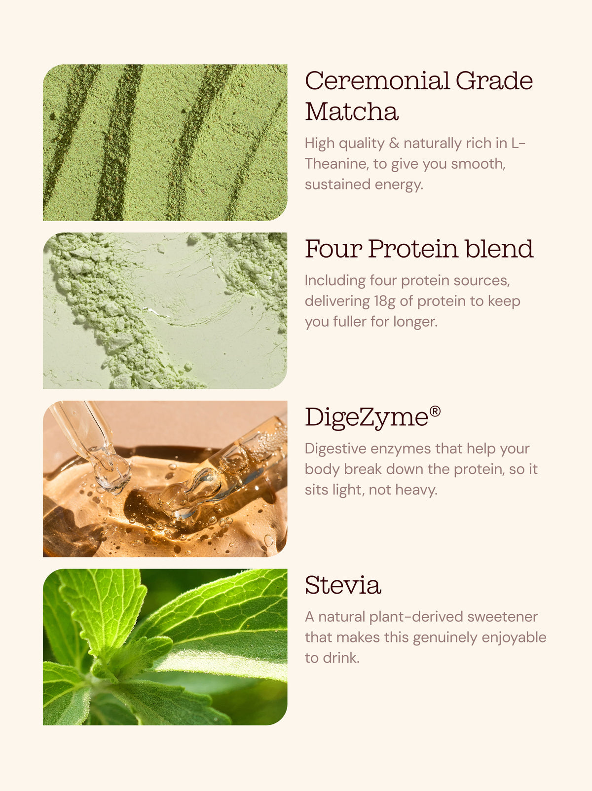 Free Soul x PerfectTed Matcha Protein Powder