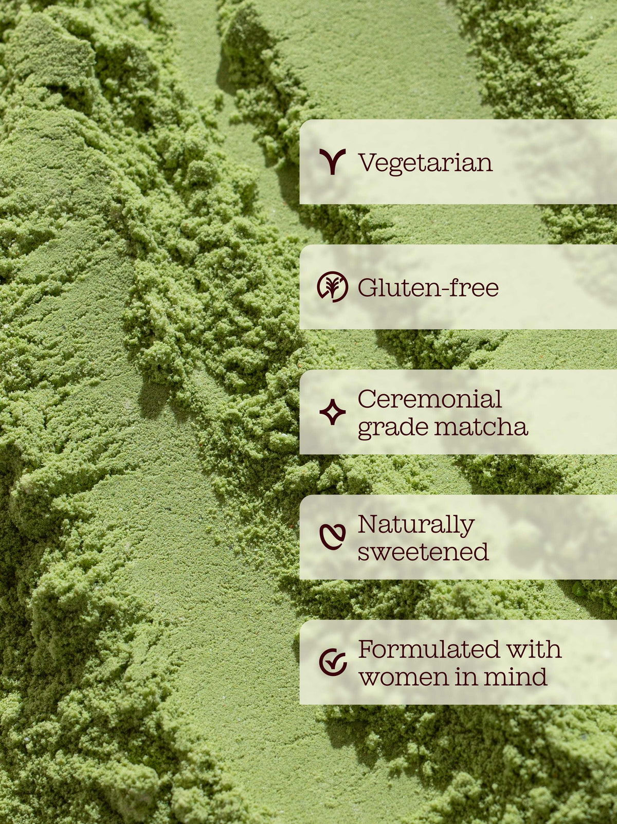 Free Soul x PerfectTed Matcha Protein Powder