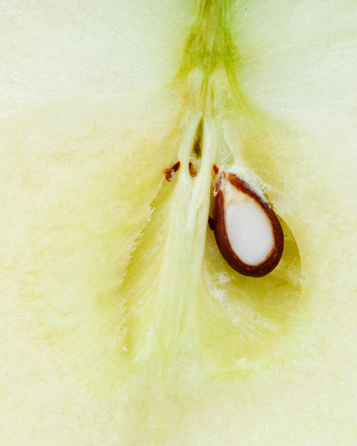 Apple Cider Vinegar