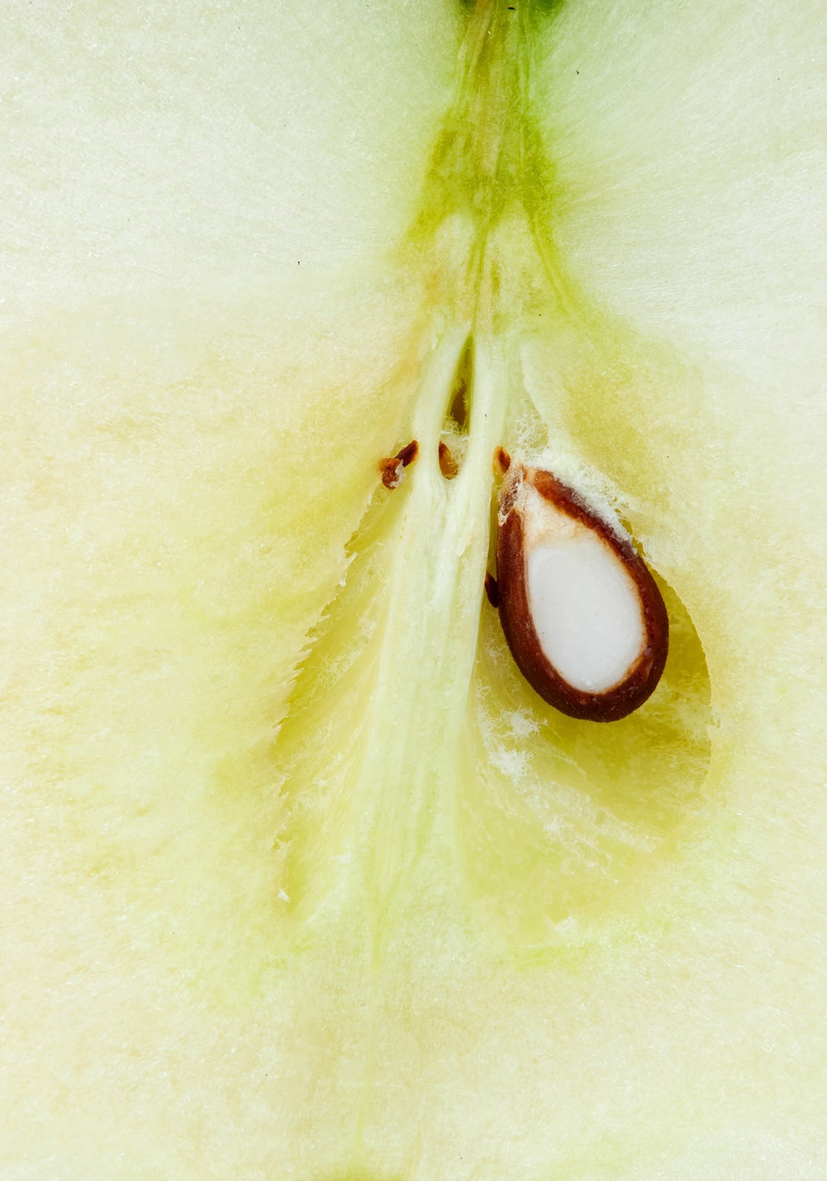 Apple Cider Vinegar