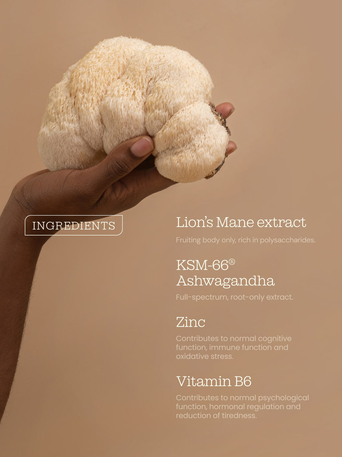 Ashwagandha KSM-66® + Lion's Mane