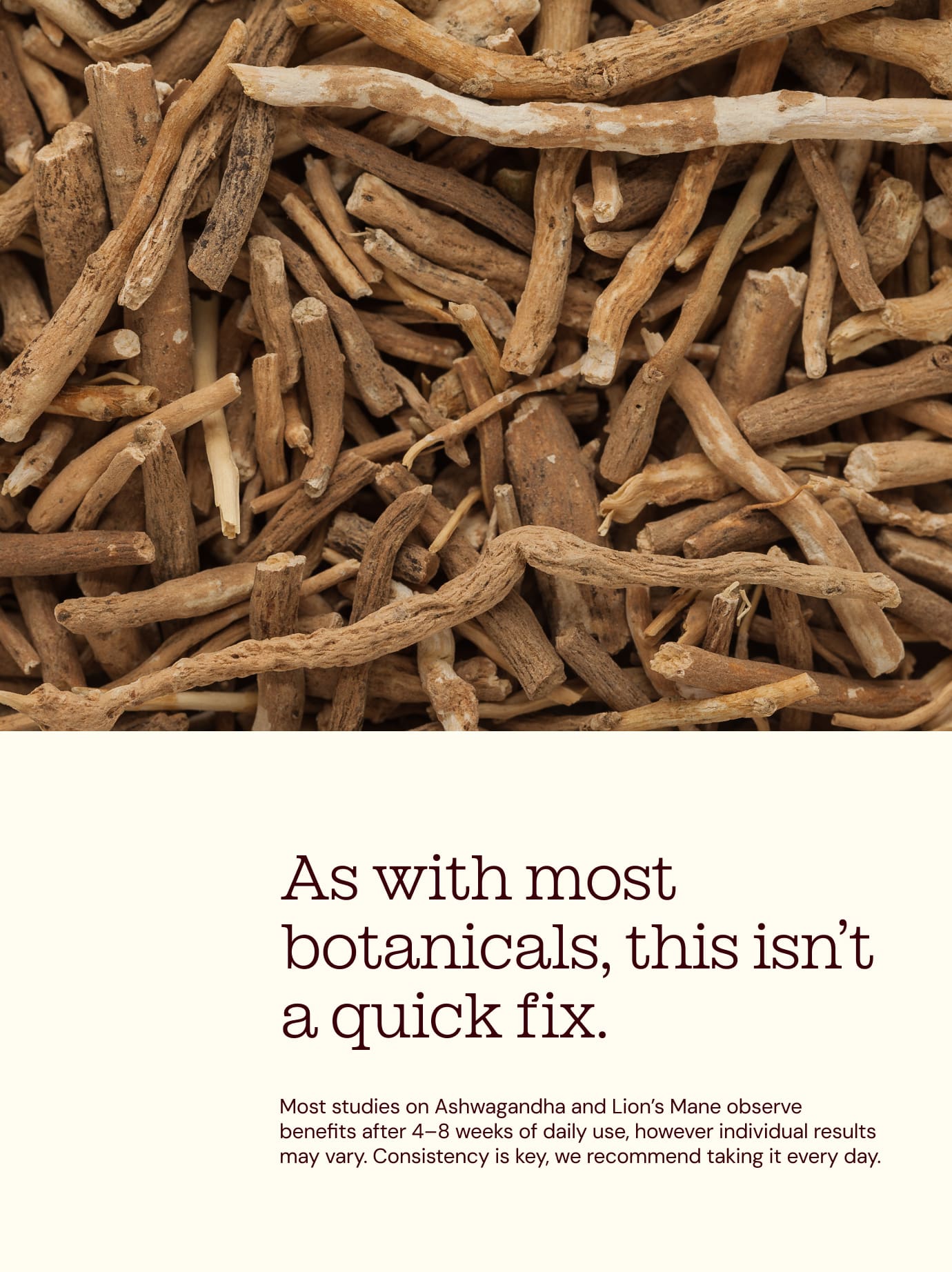 Ashwagandha KSM-66® + Lion's Mane