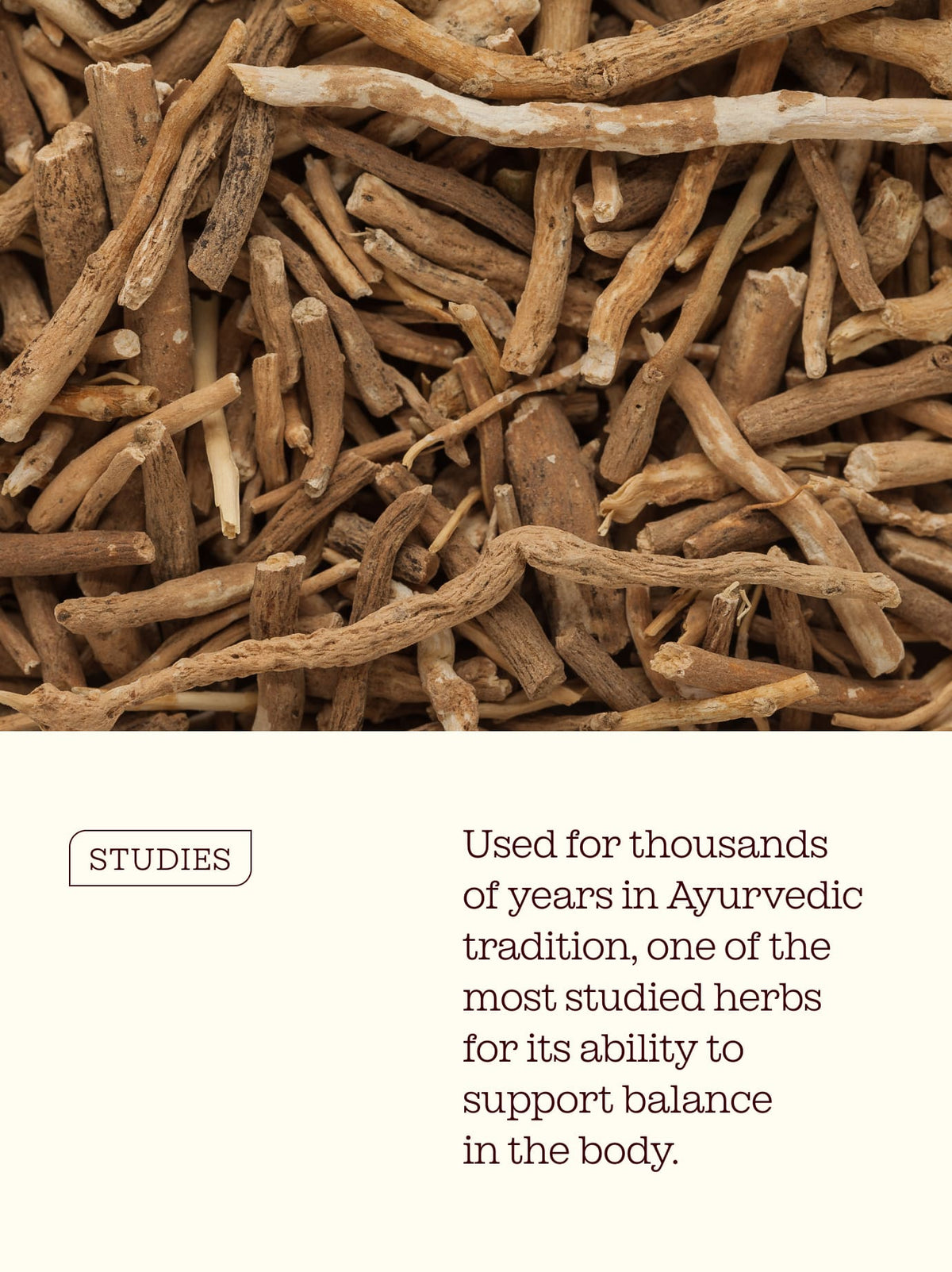 Ashwagandha Gummies