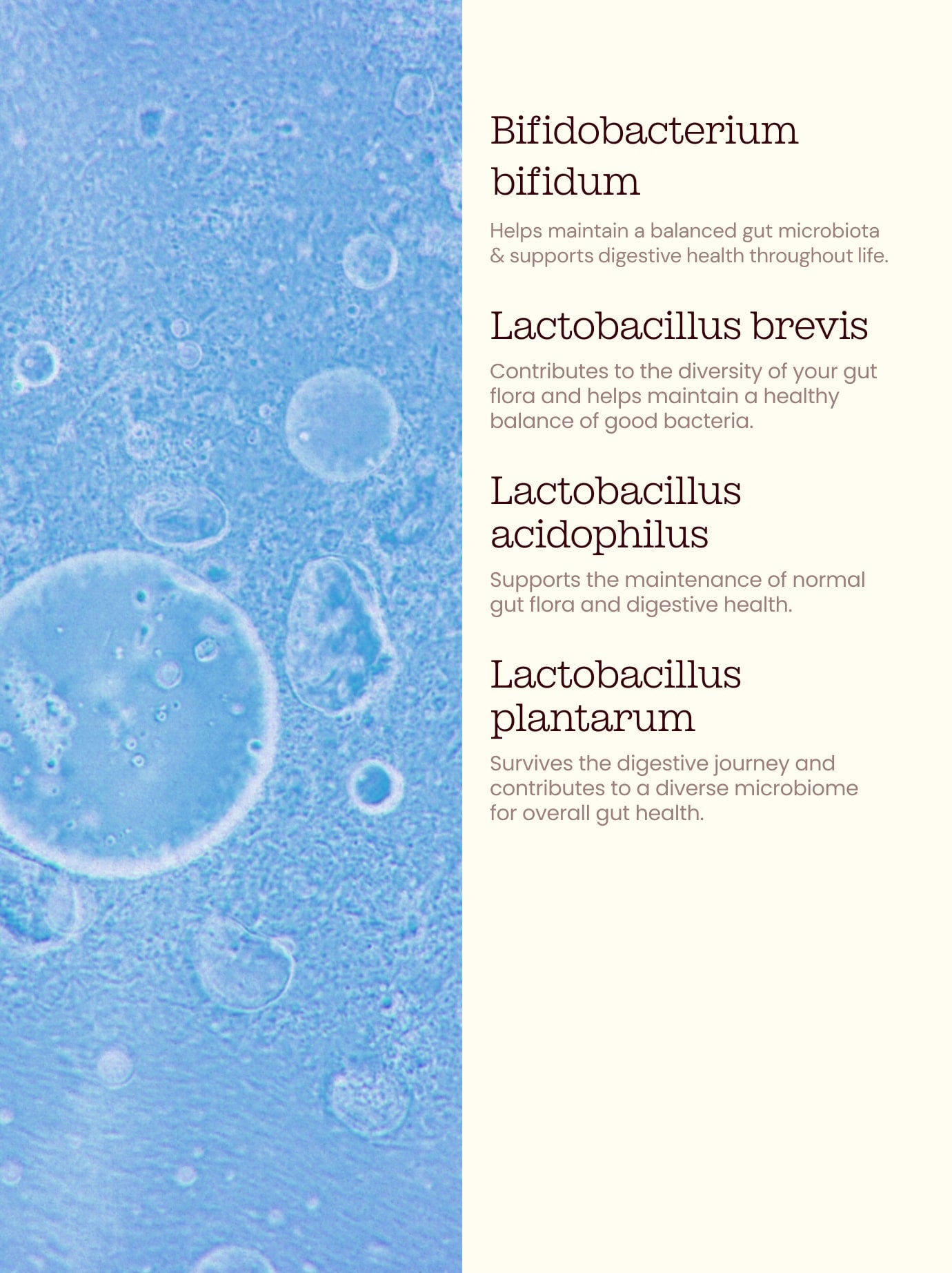 Bio-Cultures Capsules