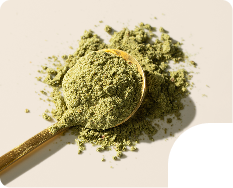 Shop Gut & Immune Health