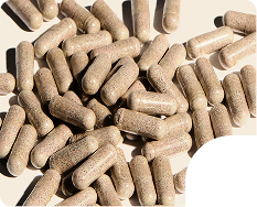 Shop Hormones & Women’s Health