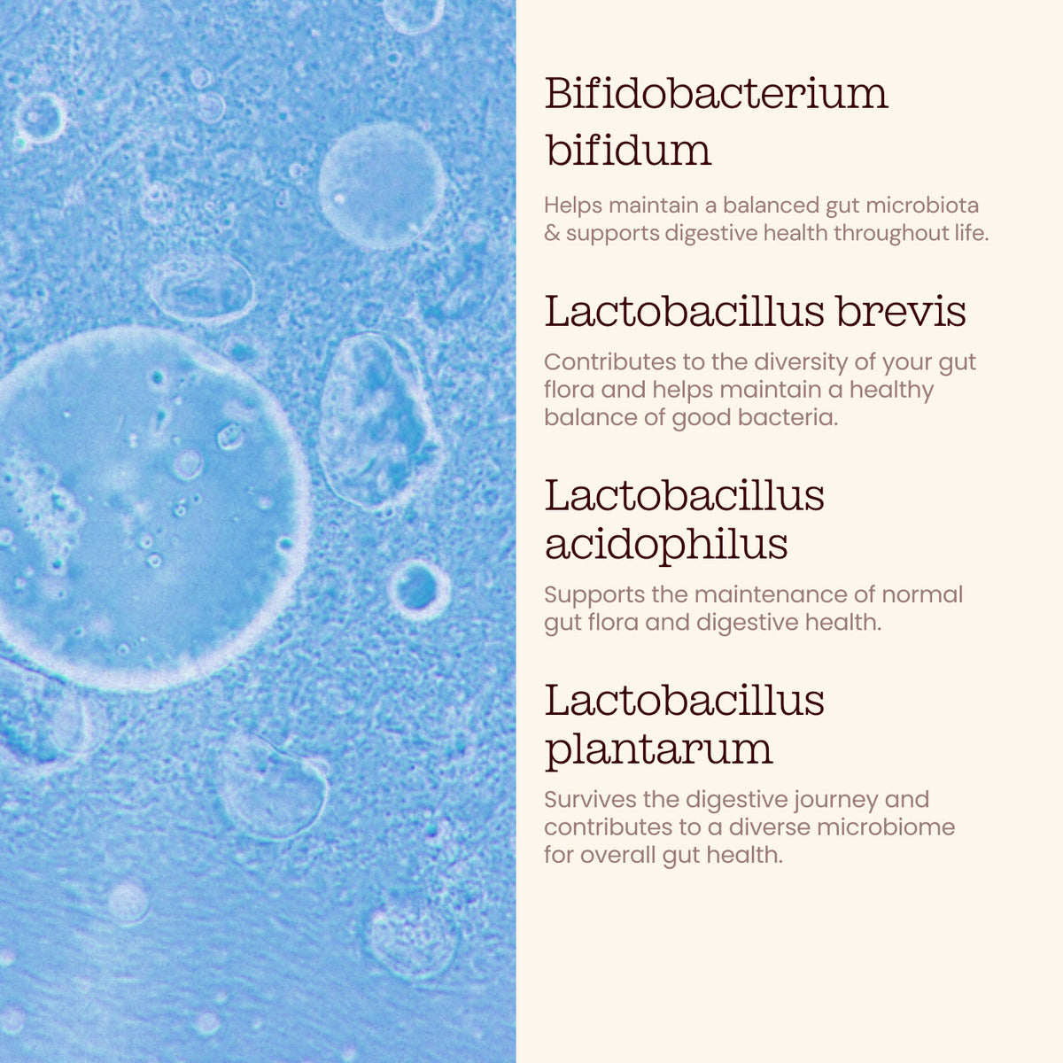 Bio-Cultures Capsules