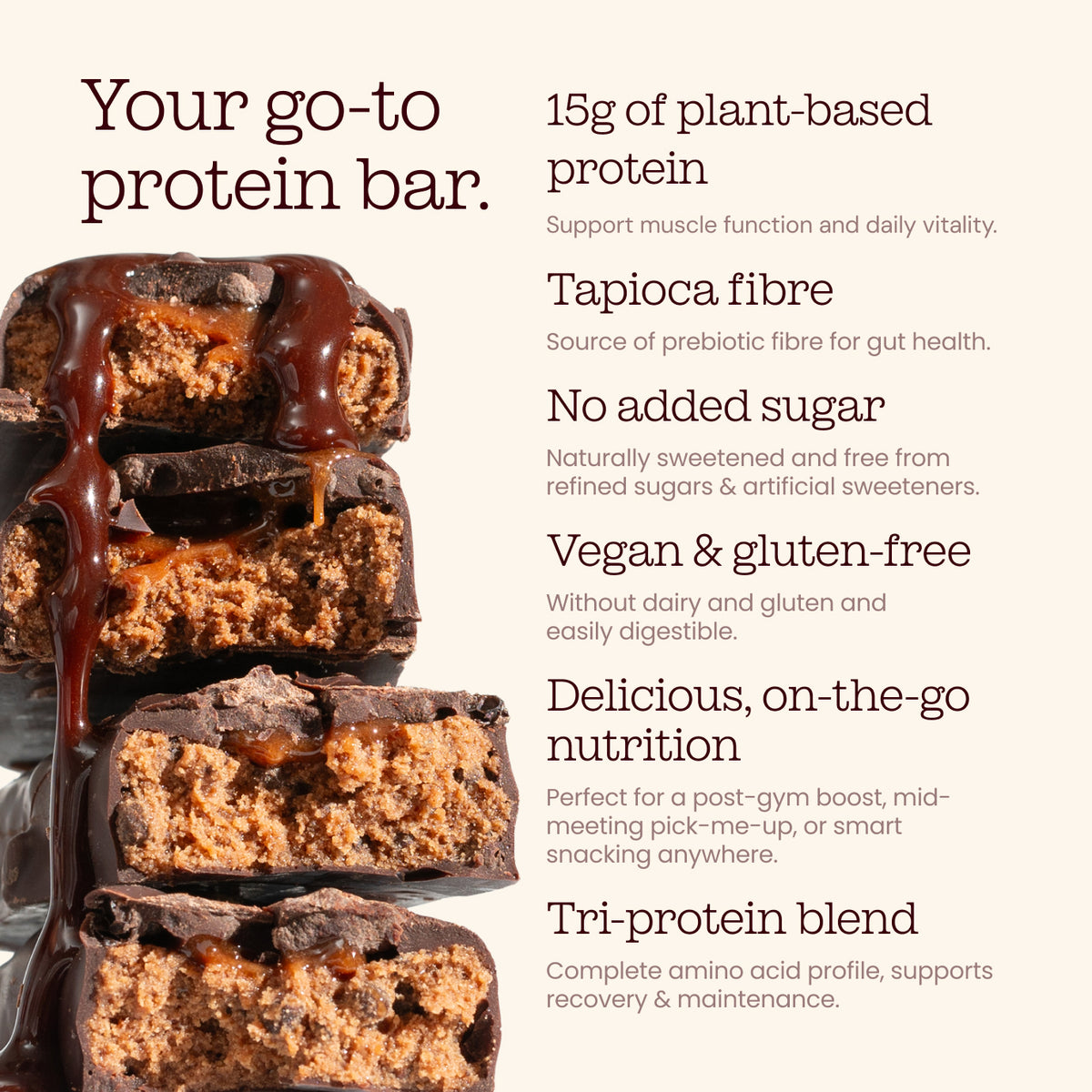 Vegan Protein Bars