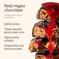 Vegan Protein Bars