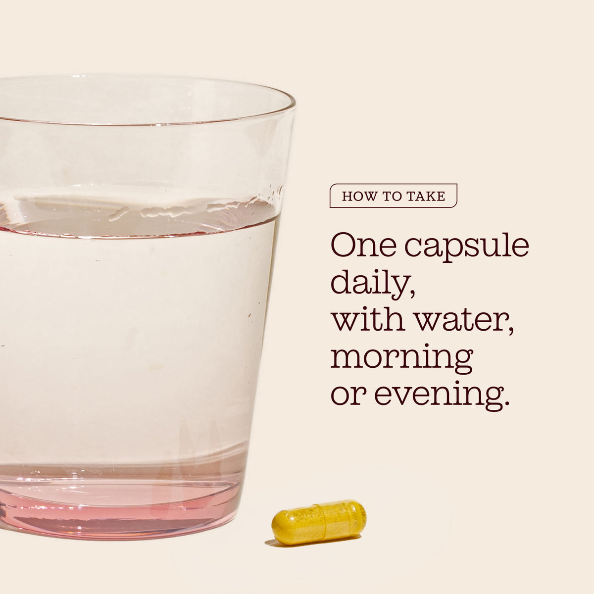 Berberine Capsules