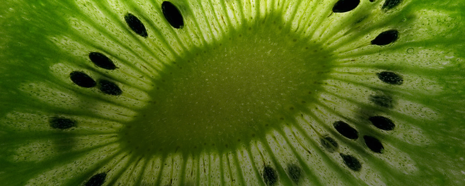 Gut + Immune Health Hub