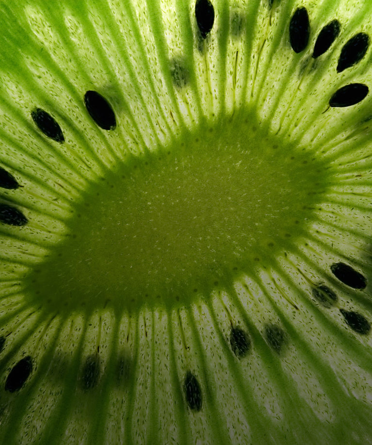 Gut + Immune Health Hub