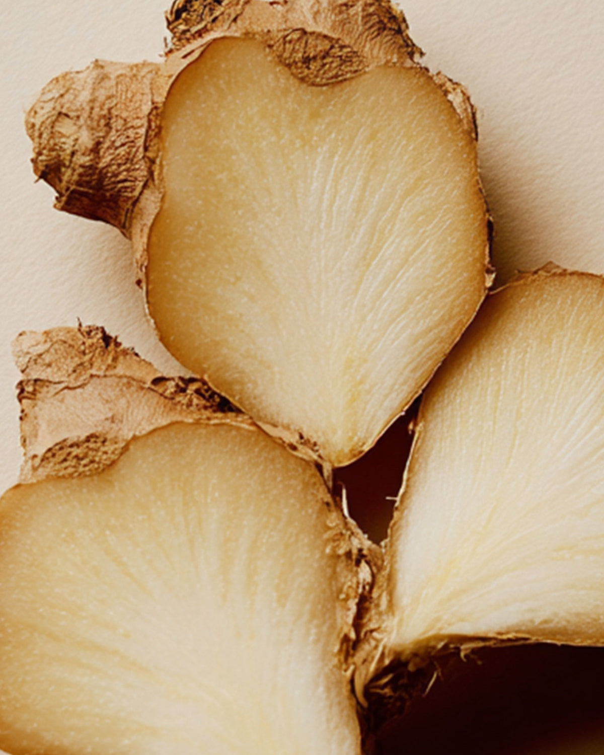 Ginger Root