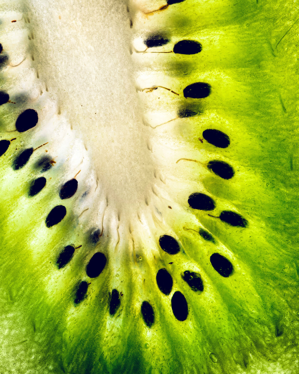 KIWIFRUIT
