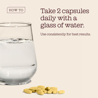 Liver Function Supplements