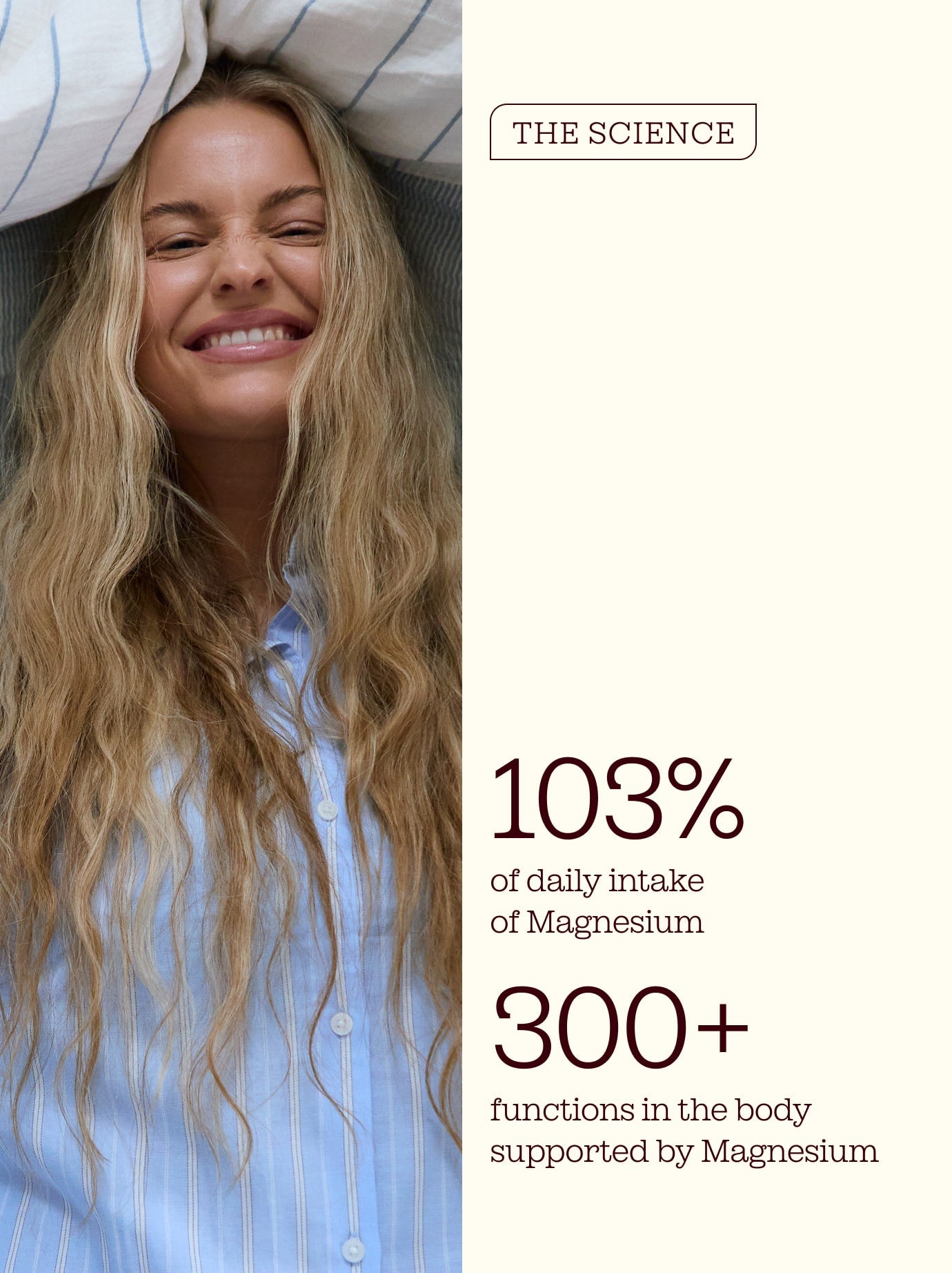 4-in-1 Magnesium + Turmeric