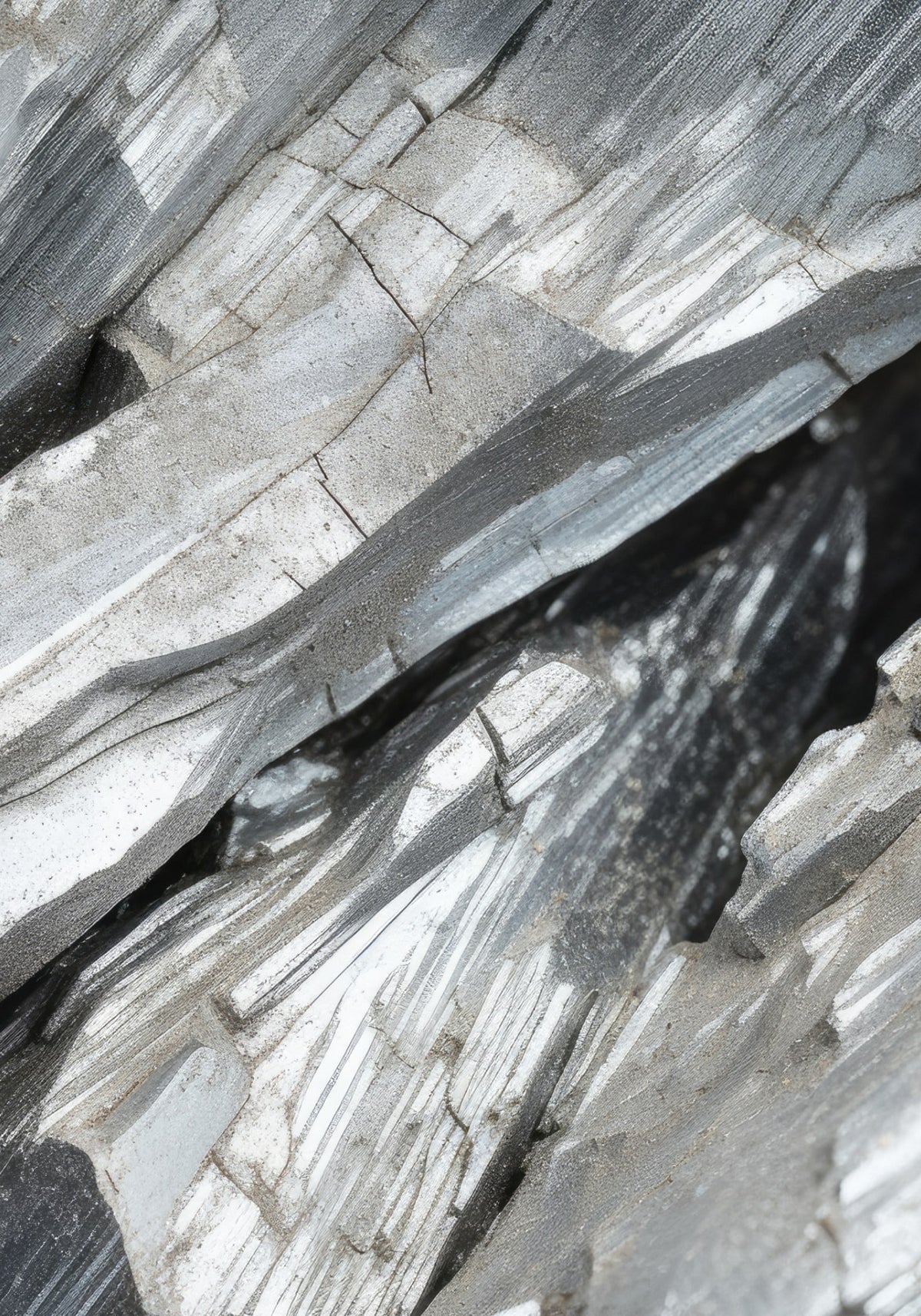 Magnesium Malate