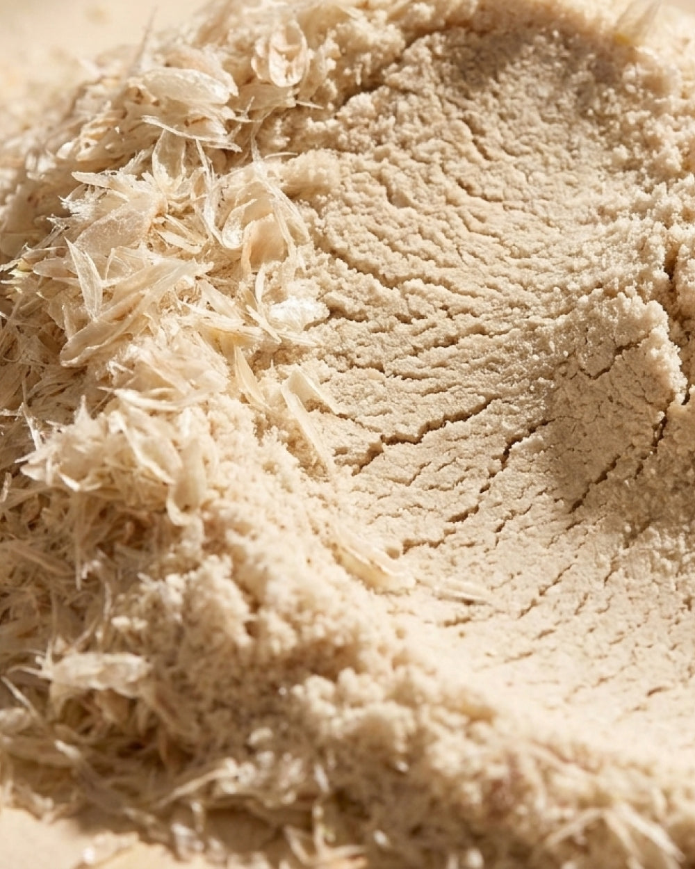 PSYLLIUM HUSK