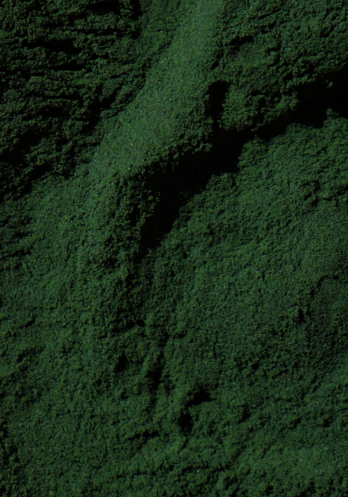 Spirulina