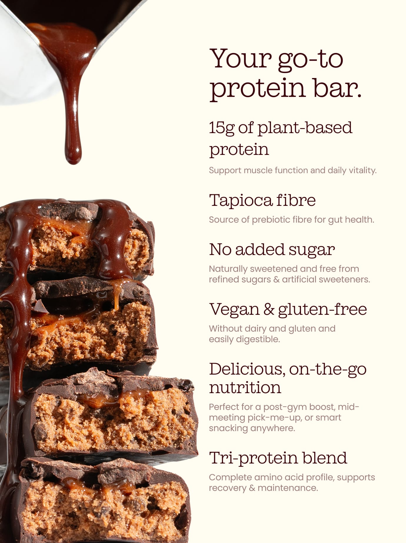 Vegan Protein Bars