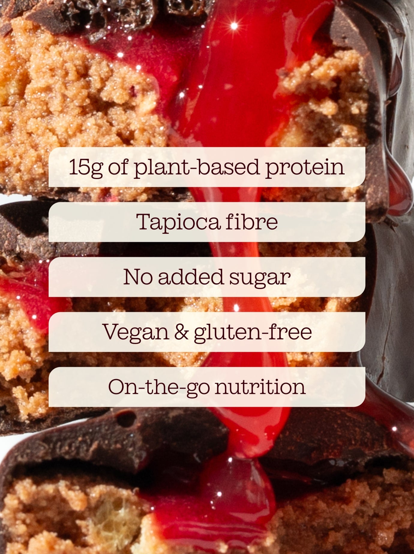 Vegan Protein Bars