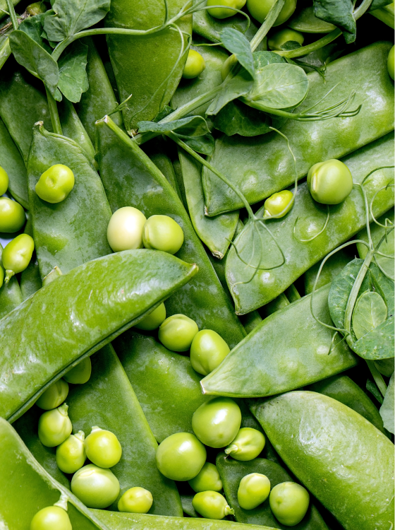 Vitamin B6